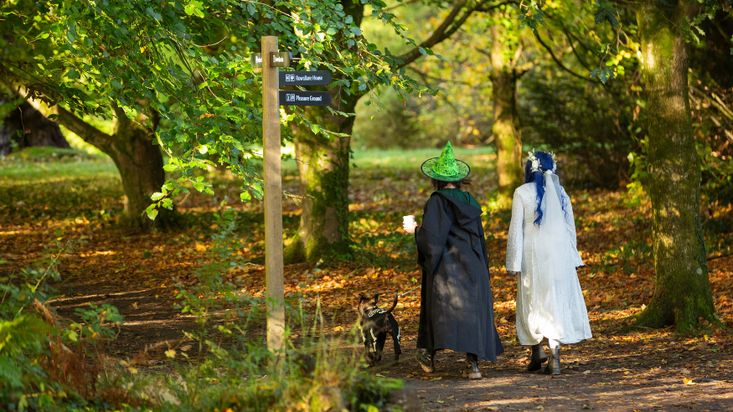 Visitors walking their dogs in Halloween costumes at Rowallane Gardens, County Down